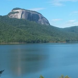 Meet your Posher, Tyra